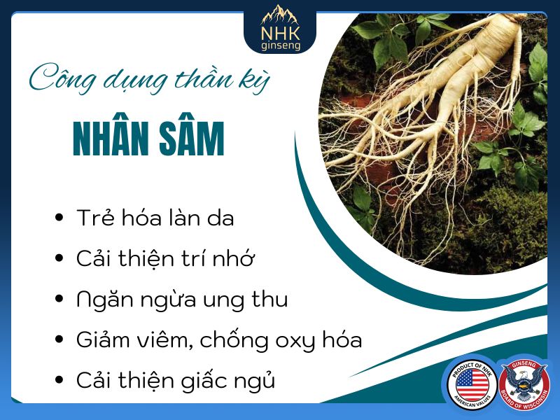 Một số công dụng thần kỳ của nhân sâm