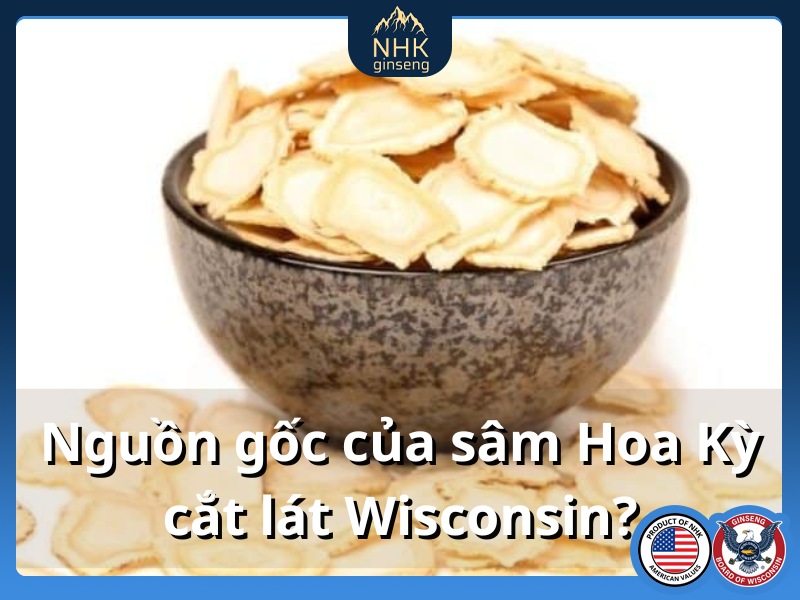 Nguồn gốc của sâm Hoa Kỳ cắt lát Wisconsin? Cách nhận biết sâm Hoa Kỳ cắt lát Wisconsin chính hãng