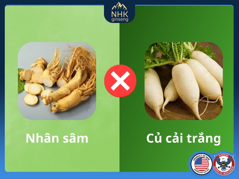 Nhân sâm kỵ các loại củ cải
