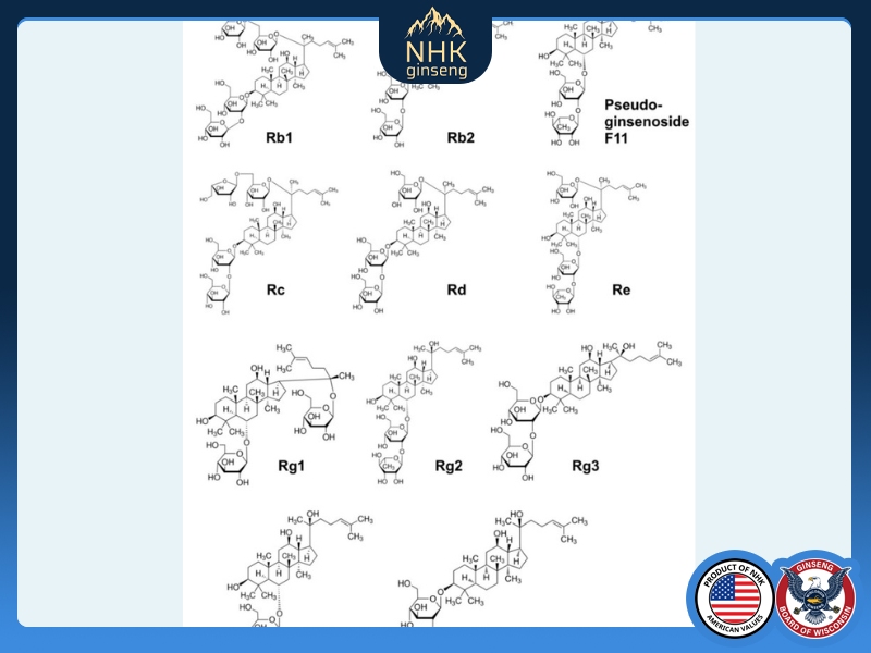 Thành phần hóa học của nhân sâm Mỹ